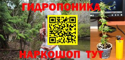 трава Комсомольск-на-Амуре