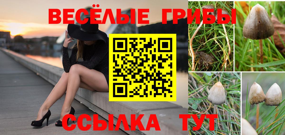 Галлюциногенные грибы ЛСД Тулун