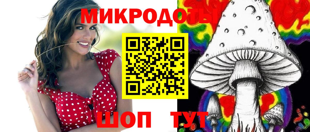 Тулун  купить  сайты  Вход с VPN  Псилоцибиновые грибы Psilocybe 