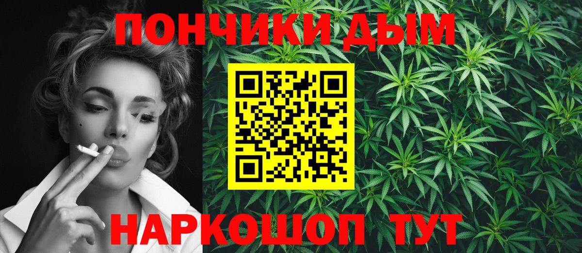 Бошки Шишки семена Тулун